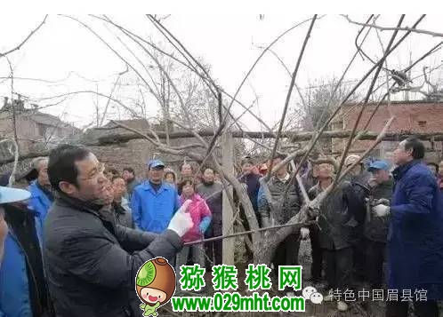 PG国际官方网站图片