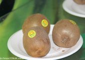 PG国际猕猴桃可追溯系统将给整个行业带来改变