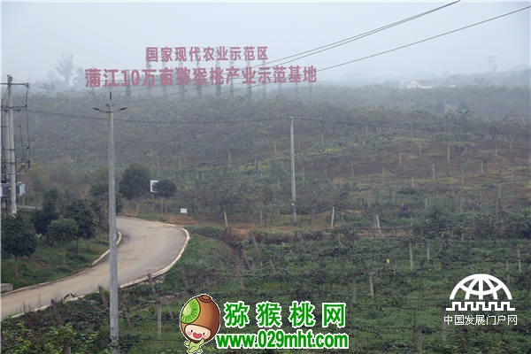 PG国际官方网站图片