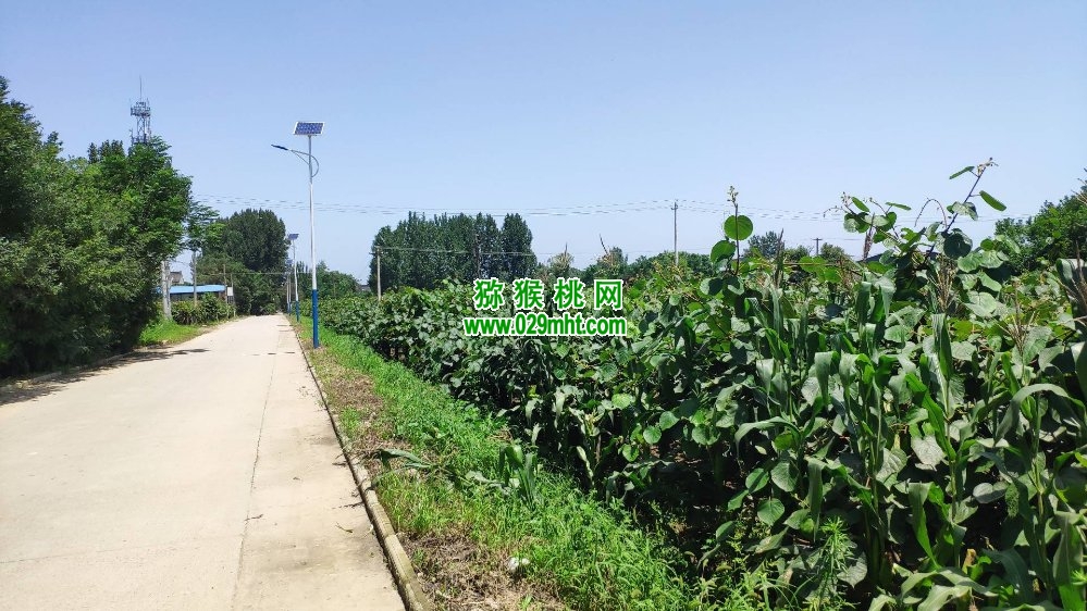 PG国际 f2549