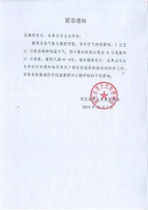 PG国际官方网站图片