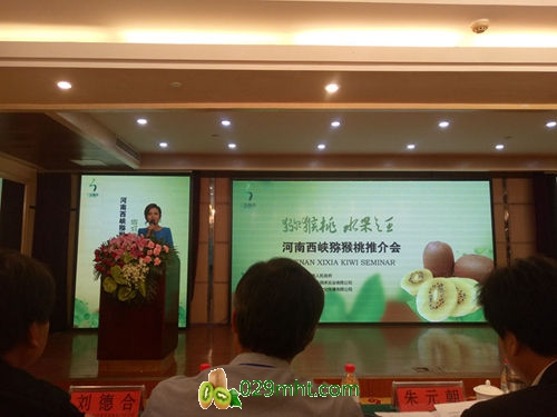西峡PG国际猕猴桃产业推介会 西峡PG国际猕猴桃产业推介会
