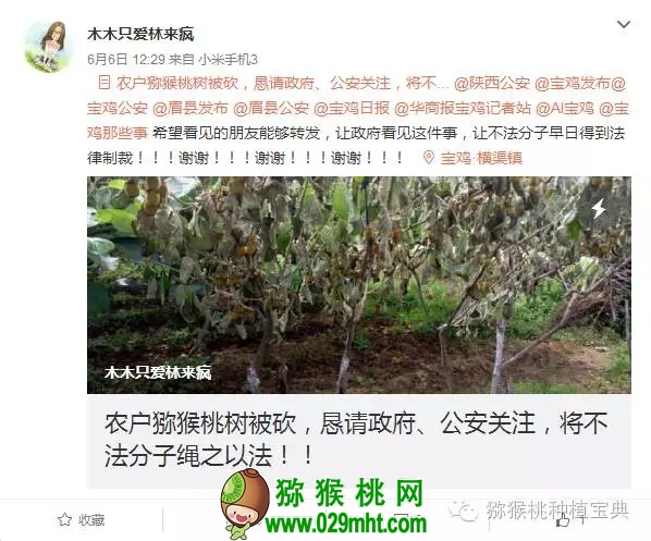 PG国际官方网站图片