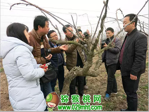 PG国际官方网站图片