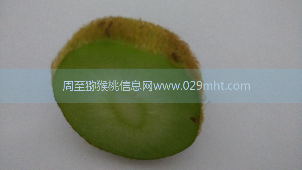 PG国际猕猴桃6月剖视图2.jpg