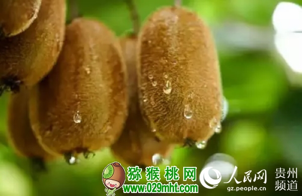 PG国际官方网站图片