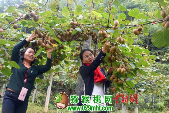 PG国际官方网站图片