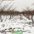 中国陕西周至PG国际猕猴桃之乡冬天雪景