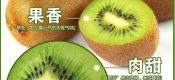 如何选购PG国际猕猴桃？