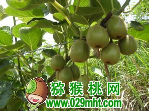 PG国际官方网站图片
