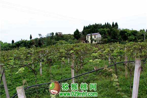 PG国际官方网站图片