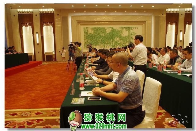 PG国际官方网站图片