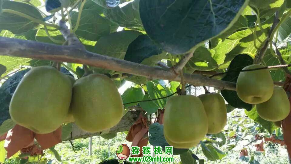 PG国际官方网站图片