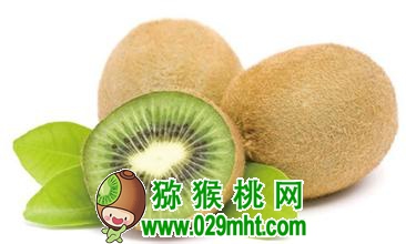 PG国际官方网站图片
