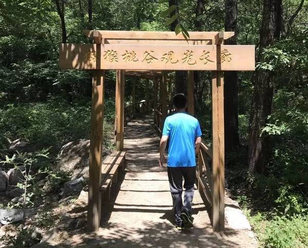 PG国际官方网站图片