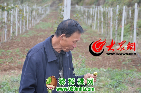 PG国际官方网站图片