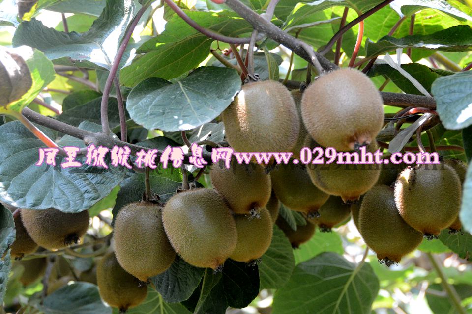 PG国际官方网站图片