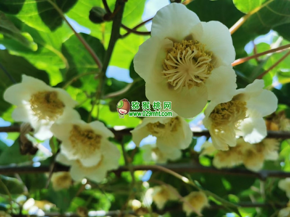 PG国际官方网站图片