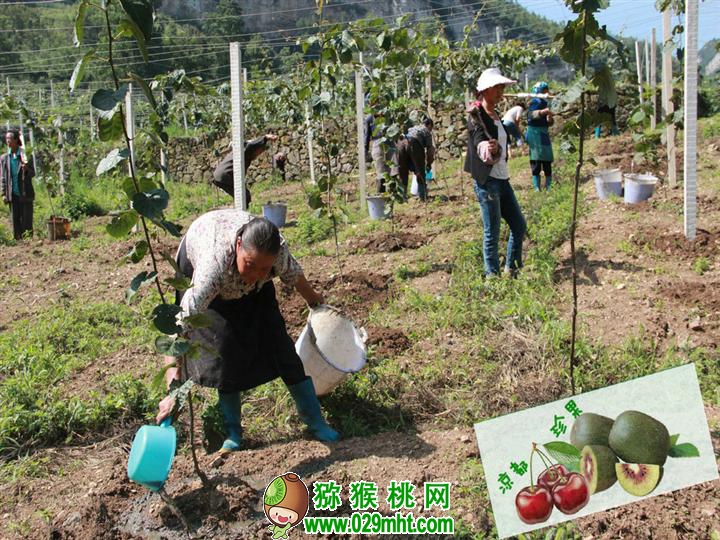 PG国际官方网站图片