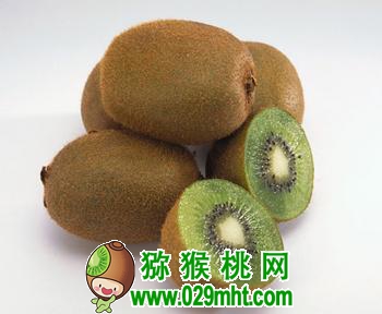 PG国际官方网站图片
