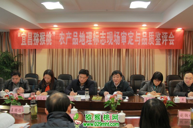 PG国际官方网站图片