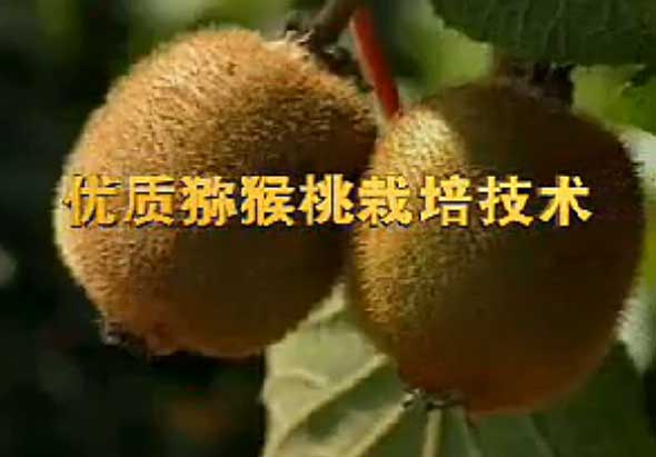 PG国际官方网站图片