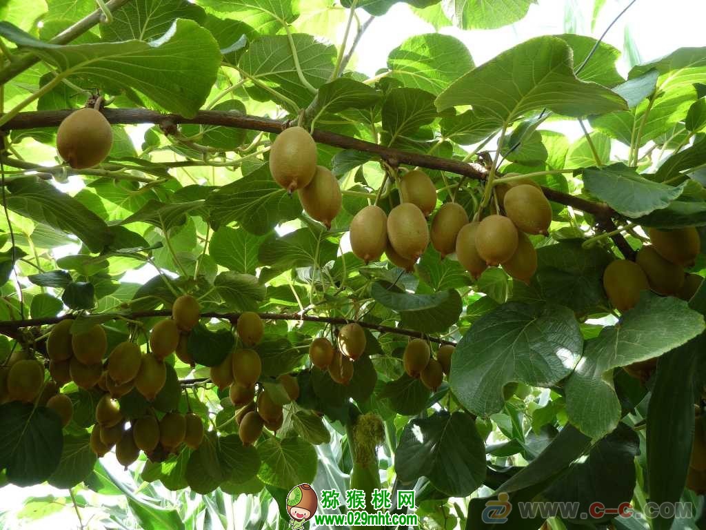 PG国际官方网站图片