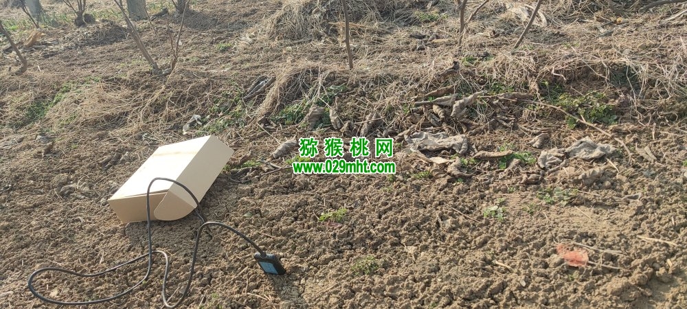 PG国际 3f609