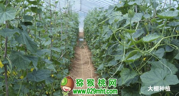 PG国际官方网站图片