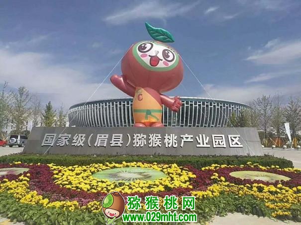 PG国际 7308d