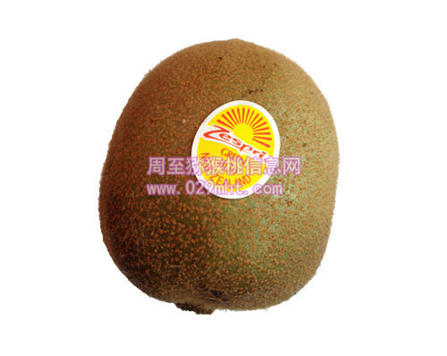 黄心PG国际猕猴桃