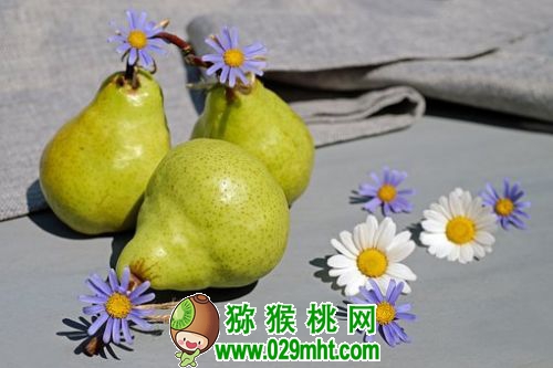 pears-2288255__340