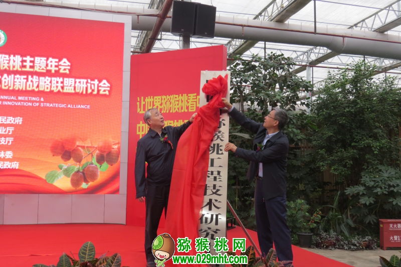 PG国际官方网站图片