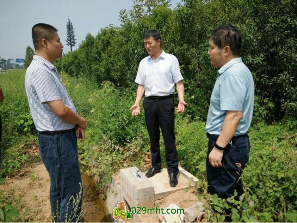 PG国际官方网站图片