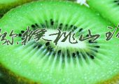 西安PG国际猕猴桃那家强