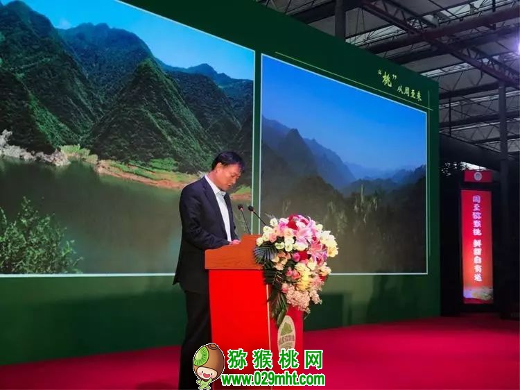 PG国际官方网站图片