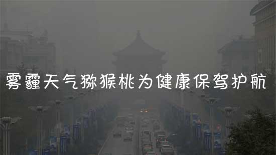 西安雾霾天气多吃PG国际猕猴桃为健康