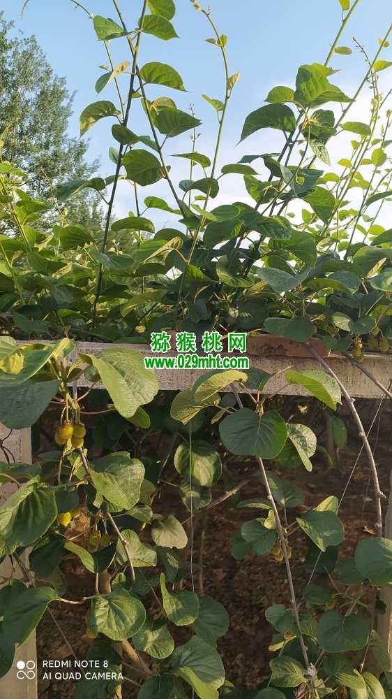 PG国际 be8cd