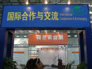 PG国际官方网站图片