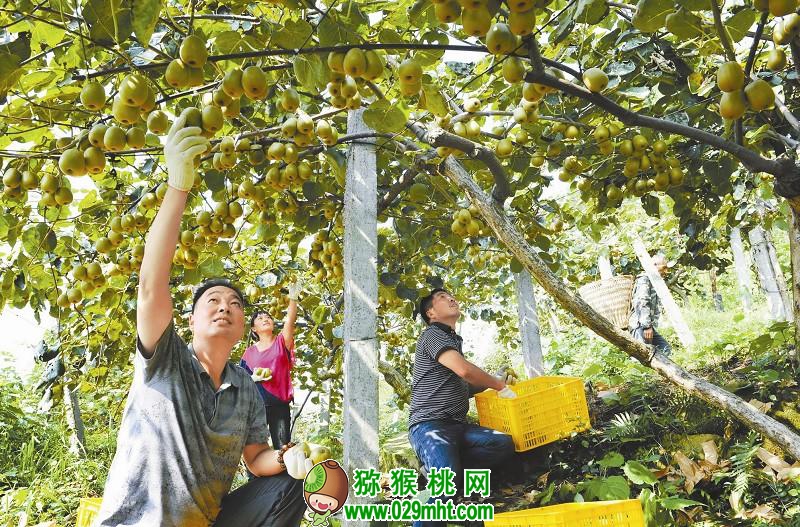 PG国际官方网站图片