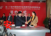 2015周至PG国际猕猴桃报价