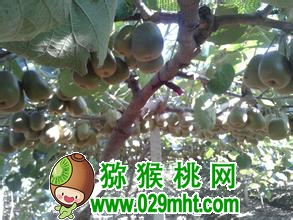 PG国际官方网站图片