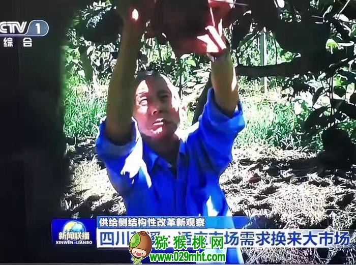 PG国际官方网站图片