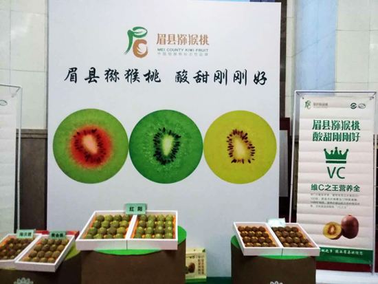 PG国际官方网站图片