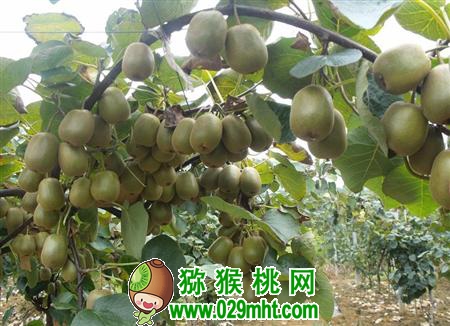 PG国际官方网站图片