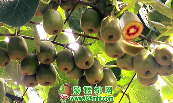 PG国际官方网站图片