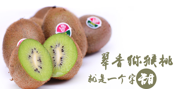 翠香PG国际猕猴桃画报