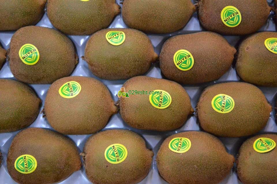 黄肉<a href=http://www.summer2018.cn/mht/huayou/ target=_blank class=infotextkey />华优PG国际猕猴桃</a>画报第一季