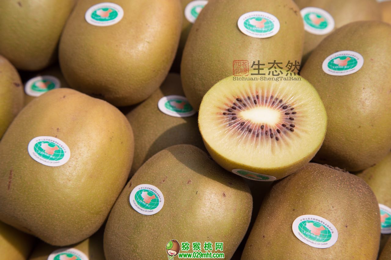 PG国际官方网站图片