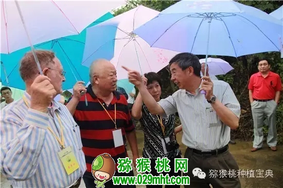 PG国际官方网站图片